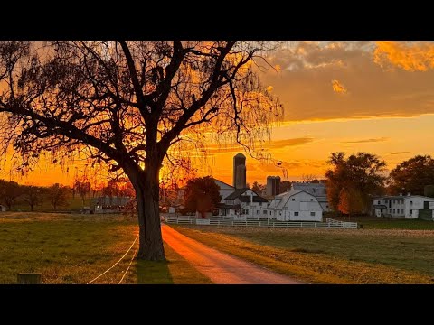 Видео: Распродажа во дворе и повторное использование находок из магазина!