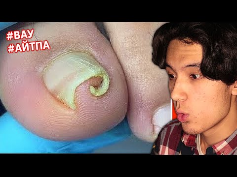 Видео: ВАУ деп айтпа! 😲 | РЕАКЦИЯ ләззат ВИДЕОЛАРҒА! (ұйқыға жақсы)