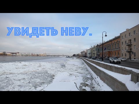 Видео: От Львиного моста к Неве. Прогулка.