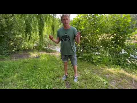 Видео: Поворот на одной ноге |. Тайцзицюань Стиль Ян