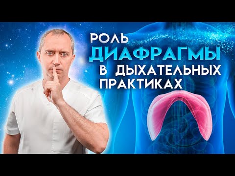 Видео: Дыхательные практики от Доктора Шишонина. Видео №1 - Роль диафрагмы в дыхательных практиках