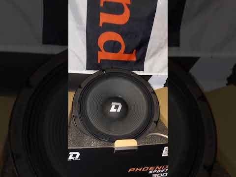 Видео: Phoenix Sport 300 Dl Audio #vik_sound #автозвук #subwoofer #dlaudio #moscow #bass