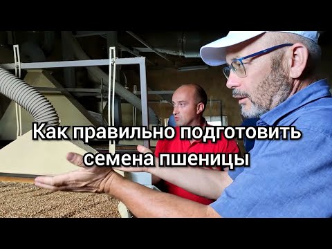 Видео: Сильные семена  - залог высокого урожая. Технология Фадеева реализована у Андрея Бедненко.