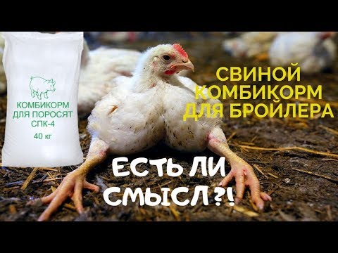Видео: Свиной комбикорм для бройлеров. Есть ли смысл?! "Создатель" свиного комбикорма рассказывает.