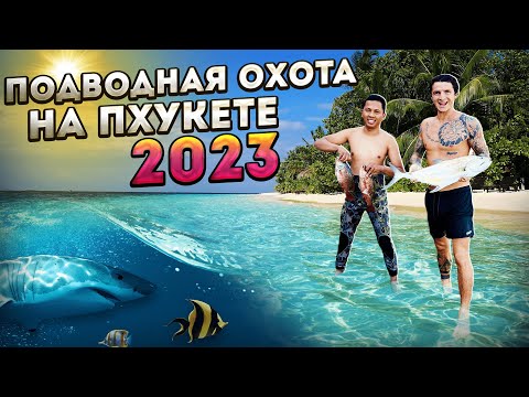 Видео: Подводная охота на Пхукете 2023! Поймали огромную рыбу!