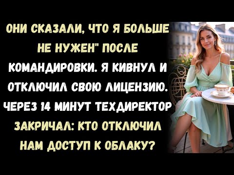 Видео: «Меня уволили после командировки — я забрал систему, на которой держалась вся их работа»