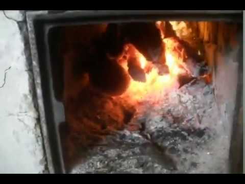 Видео: вы соглашаетесь – дереву тепло п.у. alfaro (buccc prod.)