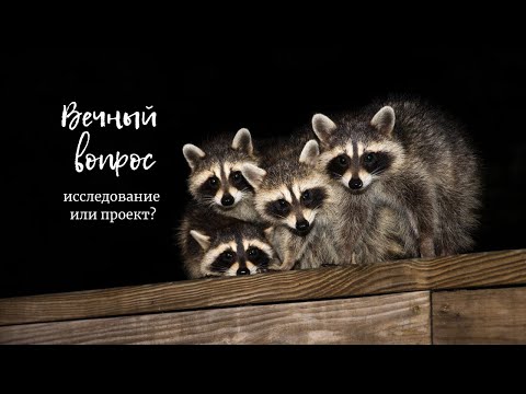 Видео: 1. Исследование vs проект: в чем разница?