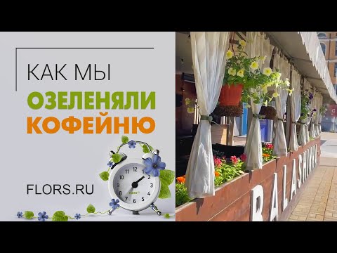 Видео: Озеленение кофейни