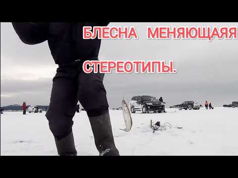 Видео: Блесна переворачивающая стереотипы. Зимняя рыбалка в де кастри на зубаря.