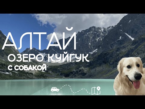 Видео: Поход на озеро Куйгук с собакой 🐾 | Путешествие по Алтаю 2024