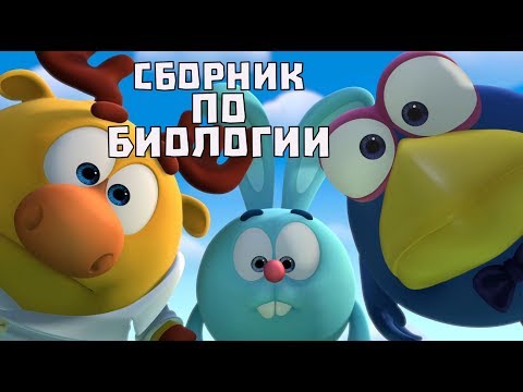 Видео: Сборник по биологии - Смешарики. ПИН - код | Познавательные мультфильмы