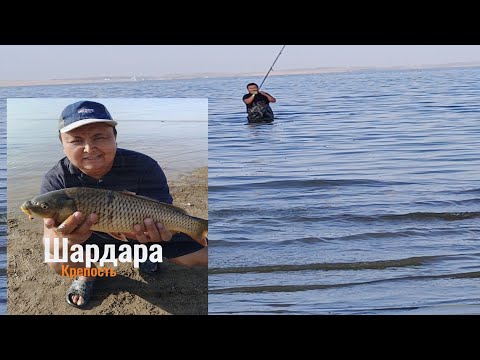 Видео: Шардара, Крепость, қазан айы, 2024