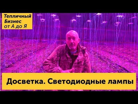 Видео: Досветка растений на примере томатов. Светодиодные фитолампы для подсвтетки рассады и растений