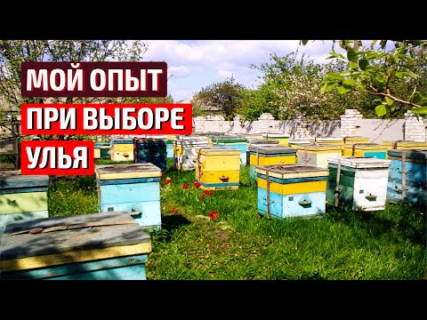 Видео: Какой улей выбрать??? Улей  Рута.  Дадан на 12 рамок.