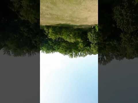 Видео: Наконец-то!!! Dolphin dive - добро пожаловать в семью! #fpv #fpvdrone #fpvflying #fpvfreestyle