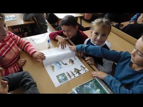 Видео: Візитка школи та села Плебанівка