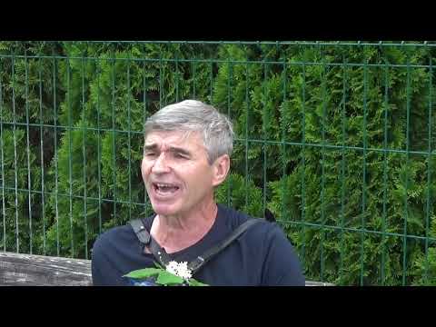 Видео: Памяти Высоцкого 2