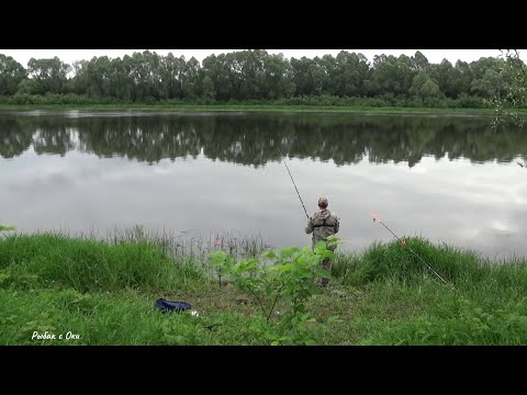 Видео: Как на Такие Большие? Рыбалка на Донки /Спиннинг 15-16 июня на Оке!  НАСОС GIGA PUMP 4.0!