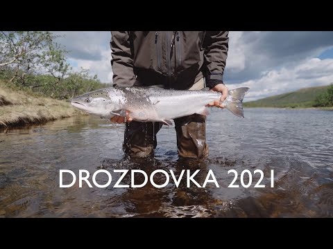 Видео: Ловля сёмги нахлыстом на реке Дроздовка. Fly fishing on the Kola Peninsula.