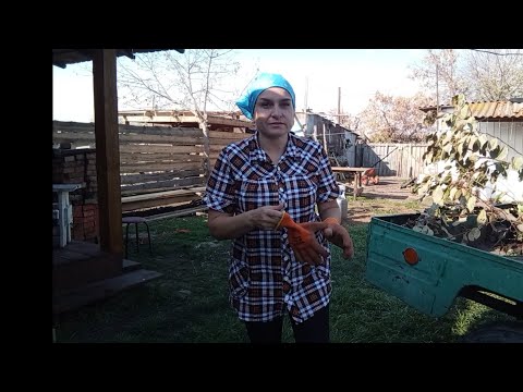 Видео: Жизнь в деревне Казахстана 🇰🇿 Зима на носу, а сарай для кур ещё не готов.....