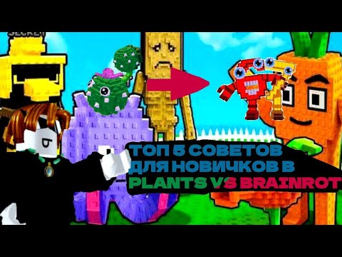 Видео: Топ 5🌵САМЫХ ПОЛЕЗНЫХ СОВЕТОВ ДЛЯ НОВИЧКОВ В РАСТЕНИЯ ПРОТИВ БРЕЙНОТОВ🌵#Plantsagainstbrainotes