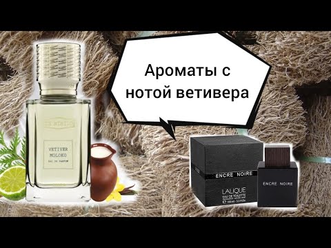 Видео: Ароматы с любимой нотой ветивера: EX NIHILO Vetiver Moloko, LALIQUE Encre Noire Pour Homme🌹🌹🌹