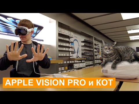 Видео: Кот заставил меня использовать Apple Vision Pro