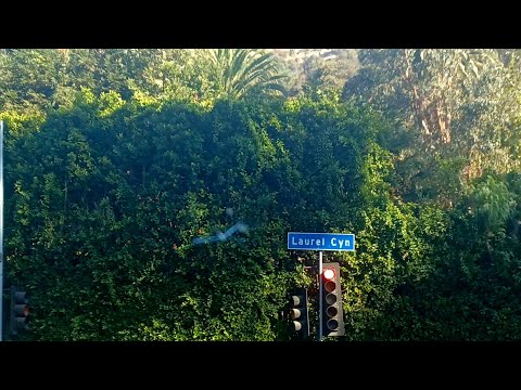 Видео: ЛОС АНДЖЕЛЕС. КАНЬОН ЛОУРЕЛ 🔺️ЗДЕСЬ 27 НОЯБРЯ ПРИ ПОЖАРЕ ДОМА ПОГИБ У. РОТШИЛЬД🔺️