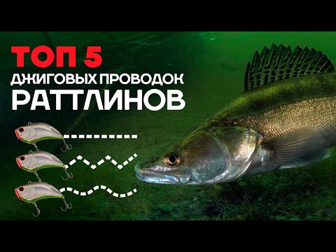 Видео: ТОП 5 ДЖИГОВЫХ проводок РАТТЛИНОВ: равномерка, пелагический джиг.. Эти РАТТЛИНЫ косят СУДАКА и ЩУКУ