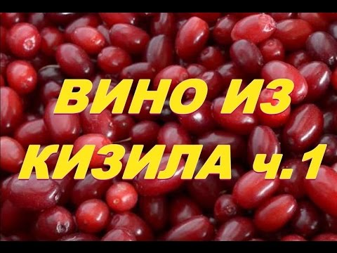 Видео: Вино из кизила ч.1.Wine from dogwood part 1