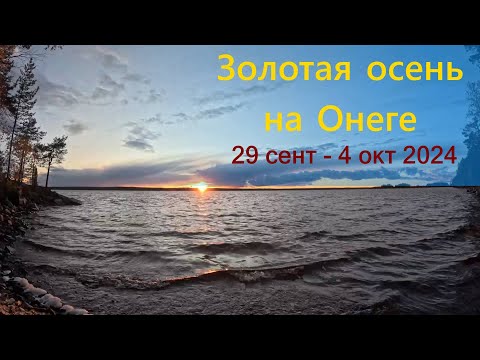 Видео: Золотая осень на Онеге (29 сентября - 4 октября 2024)