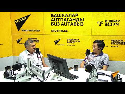 Видео: Когда в Кыргызстане появились кумыс, душ и бани – беседа с археологом на радио Sputnik Кыргызстан