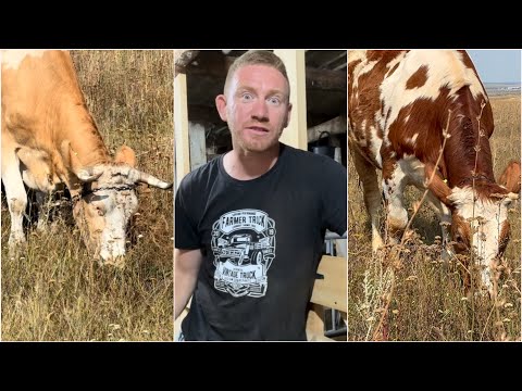 Видео: 🤬🤬🤬🤬🤬МОИ НЕРВЫ НА ИСХОДЕ 