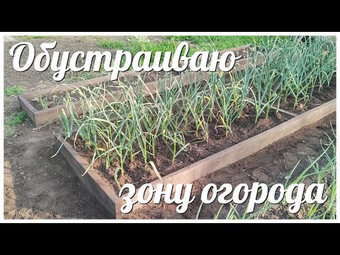 Видео: Деревянные ГРЯДКИ ЖЕНСКИМИ руками