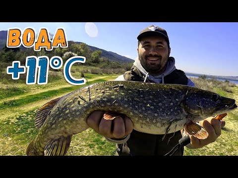 Видео: Долго я ждал этой температуры воды. | Рыбалка на щуку в Греции