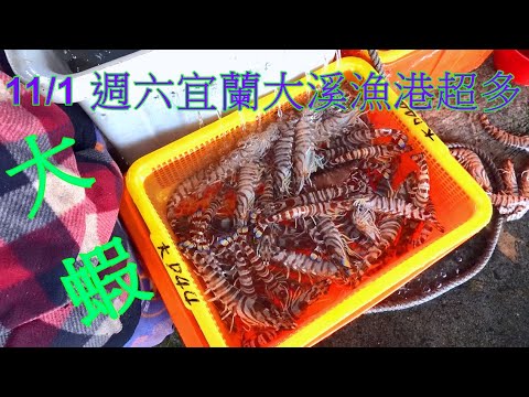 Видео: В субботу, 1 ноября, в порту Даси в Илани было изобилие креветок. В этом выпуске мы покажем вам п...