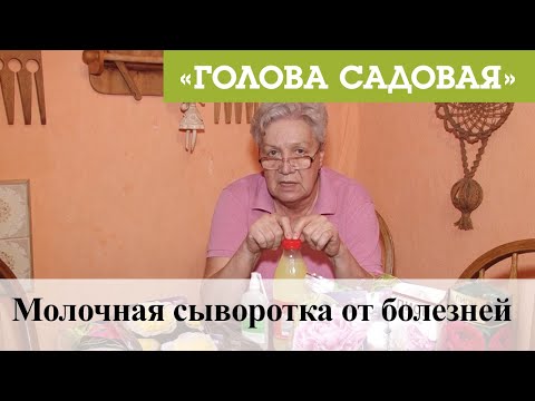 Видео: Голова садовая - Молочная сыворотка от болезней