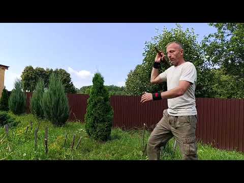 Видео: Палка в бою