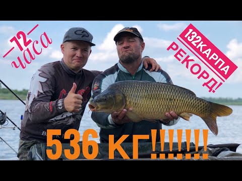 Видео: Рекорд!!!!! 536 кг КАРПА за 72 часа! (13+)