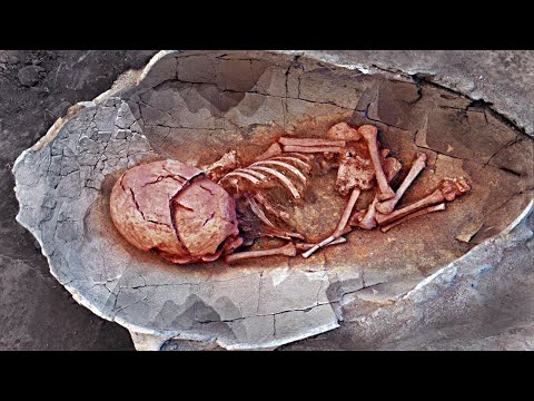 Видео: Самые загадочные захоронения живых существ, обнаруженные недавно