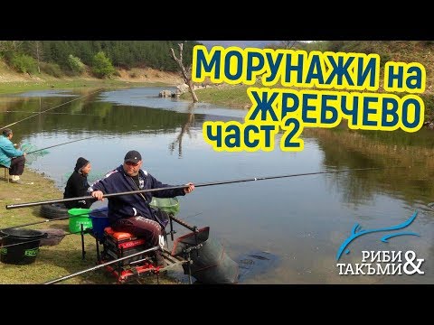 Видео: Морунажи на Жребчево - част 2