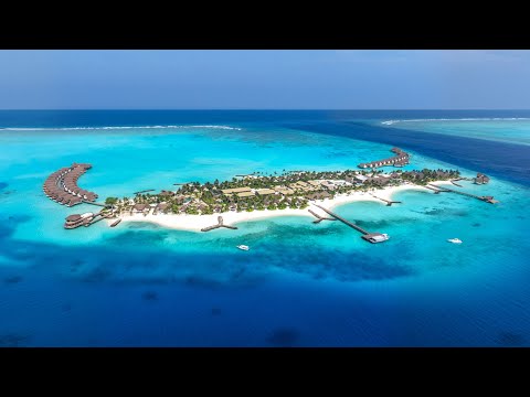 Видео: Intour Maldives Webinar - Вебинар с отелем JW Marriott Maldives Kaafu Atoll Island Resort