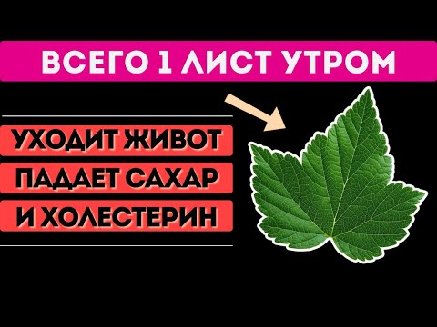 Видео: Всего 1 Лист Утром! Снижает давление, сахар и чистит сосуды! (Секретный Рецепт)