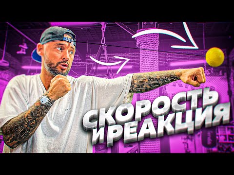 Видео: КАК ТРЕНИРОВАТЬ РЕАКЦИЮ И СКОРОСТЬ?