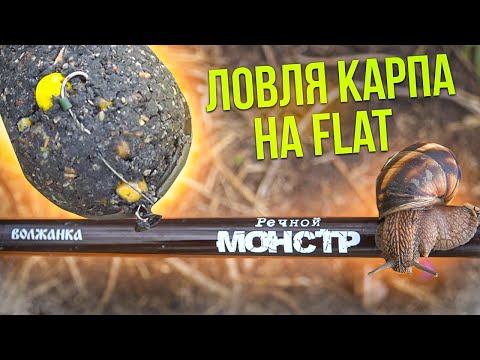 Видео: РЫБАЛКА 2022 НА ФЛЭТ-ФИДЕР, РЫБА САЗАН, КАРП, КАРАСЬ Flat Feeder