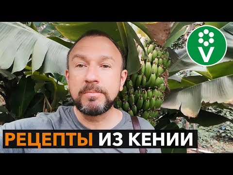 Видео: Вот чему стоит поучиться у кенийцев! Экологически чистое земледелие