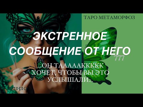 Видео: 🦎ЕГО ЭКСТРЕННОЕ СООБЩЕНИЕ ДЛЯ ВАС 🆘 Главное присядьте, чтобы не упасть от шока...💚