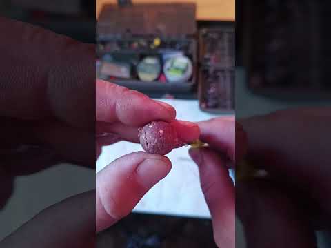 Видео: 19 августа 2025 г.