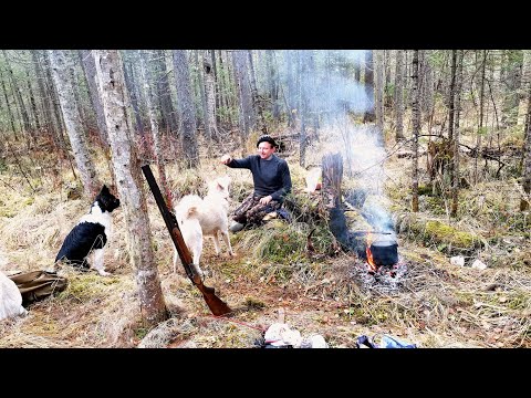 Видео: Живём в Тайге. Открываем путики.